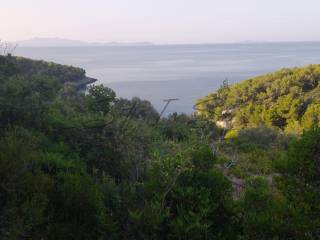 Poljoprivredno zemljište, Prodaja, Blato, Blato