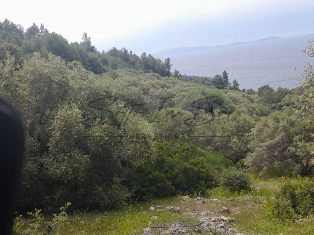 Poljoprivredno zemljište, Prodaja, Blato, Blato