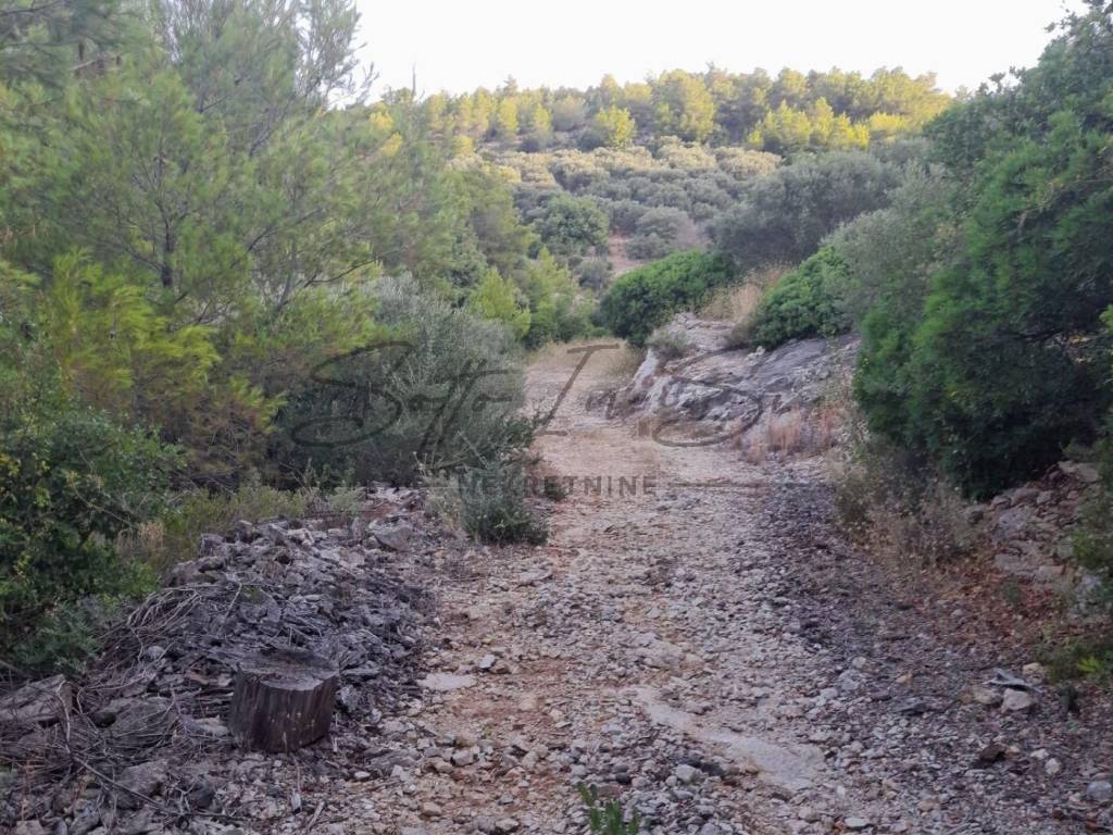 Poljoprivredno zemljište, Prodaja, Blato, Blato