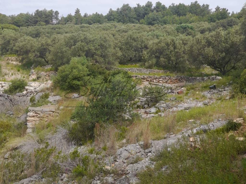 Poljoprivredno zemljište, Prodaja, Blato, Blato