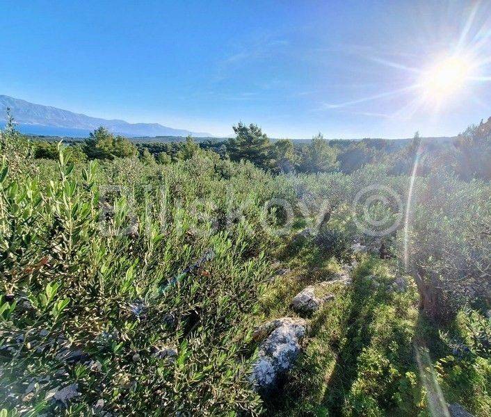 Poljoprivredno zemljište, Prodaja, Supetar, Mirca