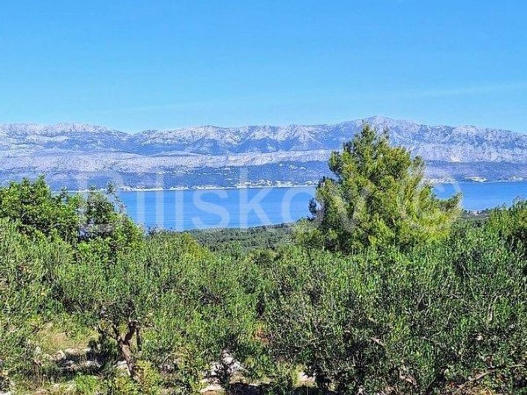 Poljoprivredno zemljište, Prodaja, Supetar, Mirca