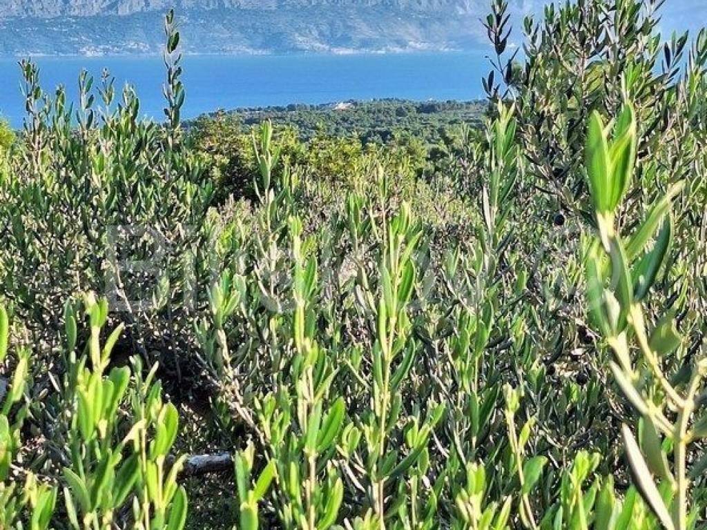 Poljoprivredno zemljište, Prodaja, Supetar, Mirca