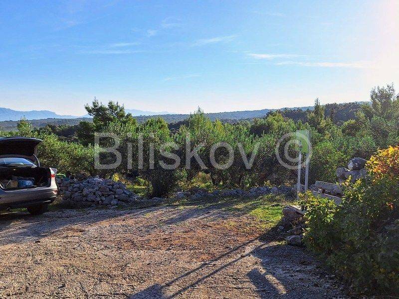 Poljoprivredno zemljište, Prodaja, Supetar, Mirca