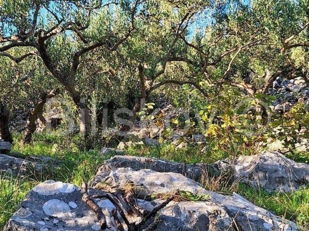 Poljoprivredno zemljište, Prodaja, Supetar, Mirca