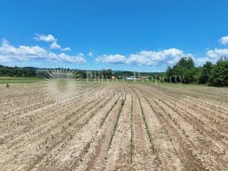 Građevinsko zemljište, Prodaja, Ozalj, Ozalj