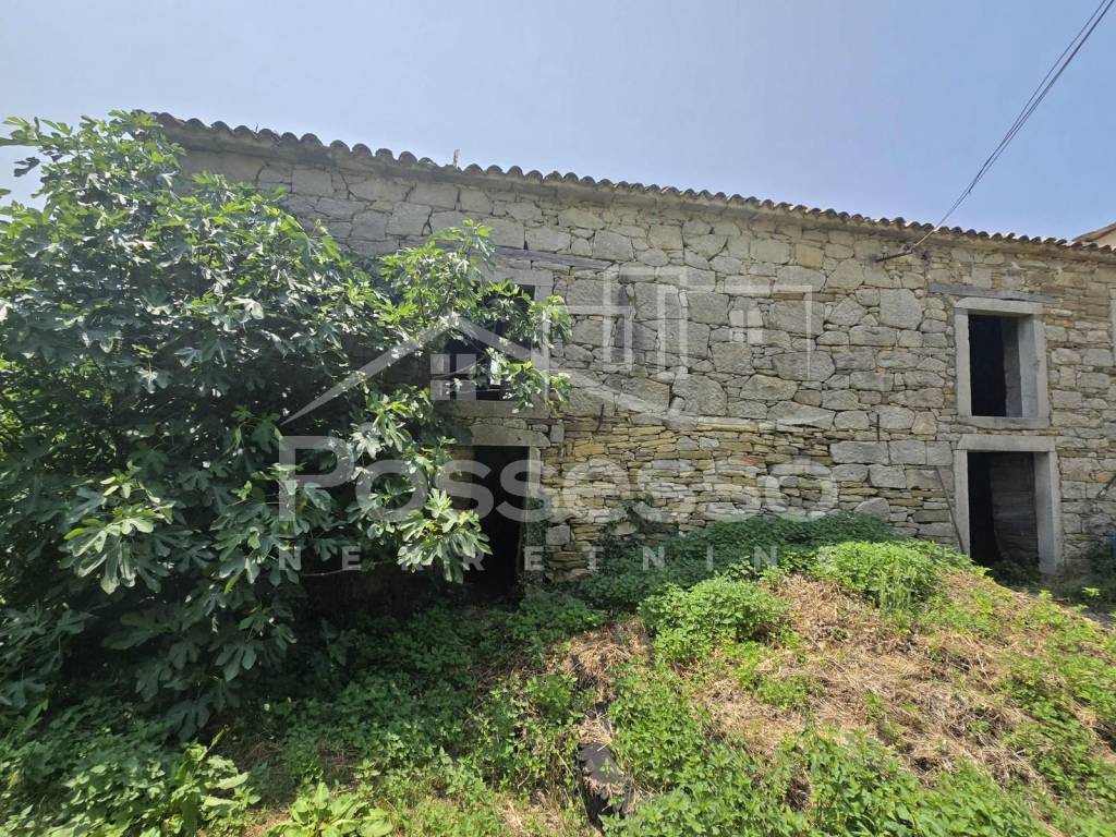 Buzet, Buzet