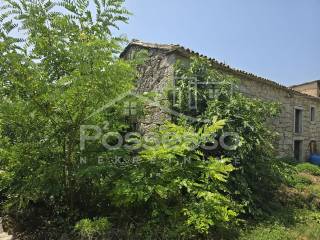 Buzet, Buzet
