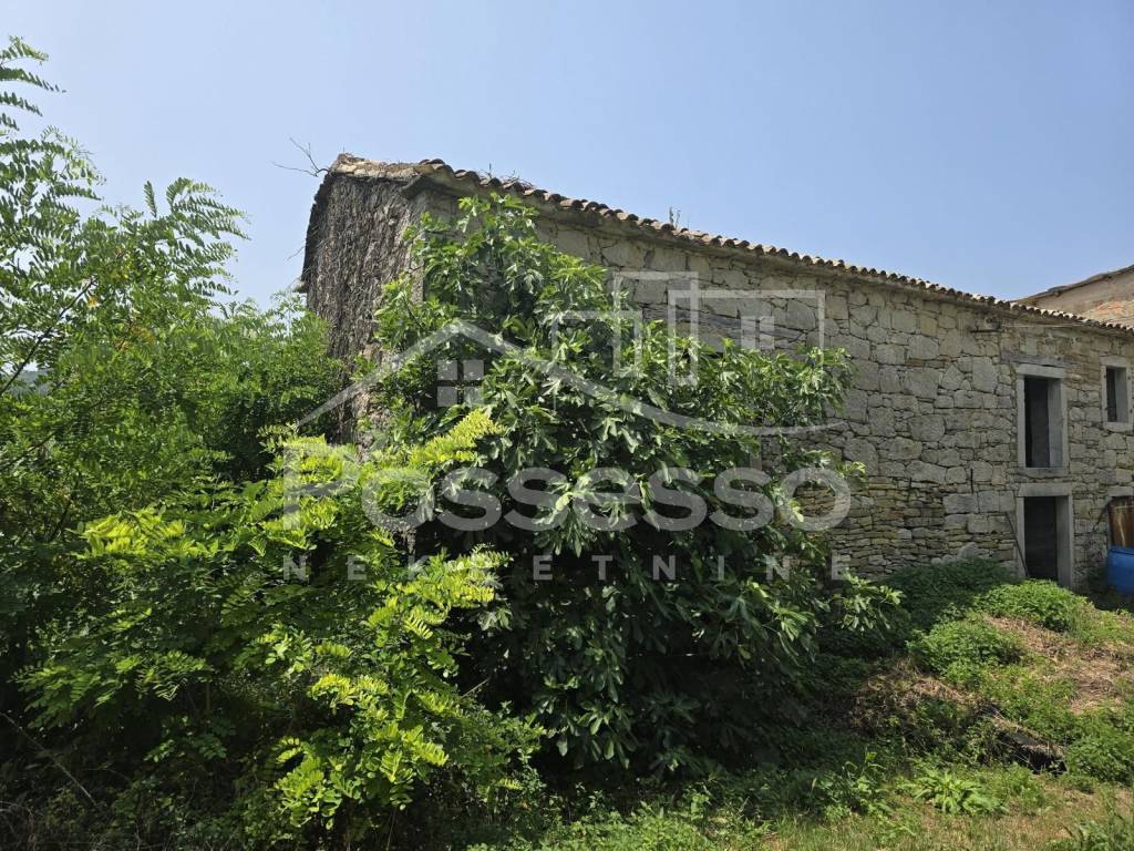 Buzet, Buzet