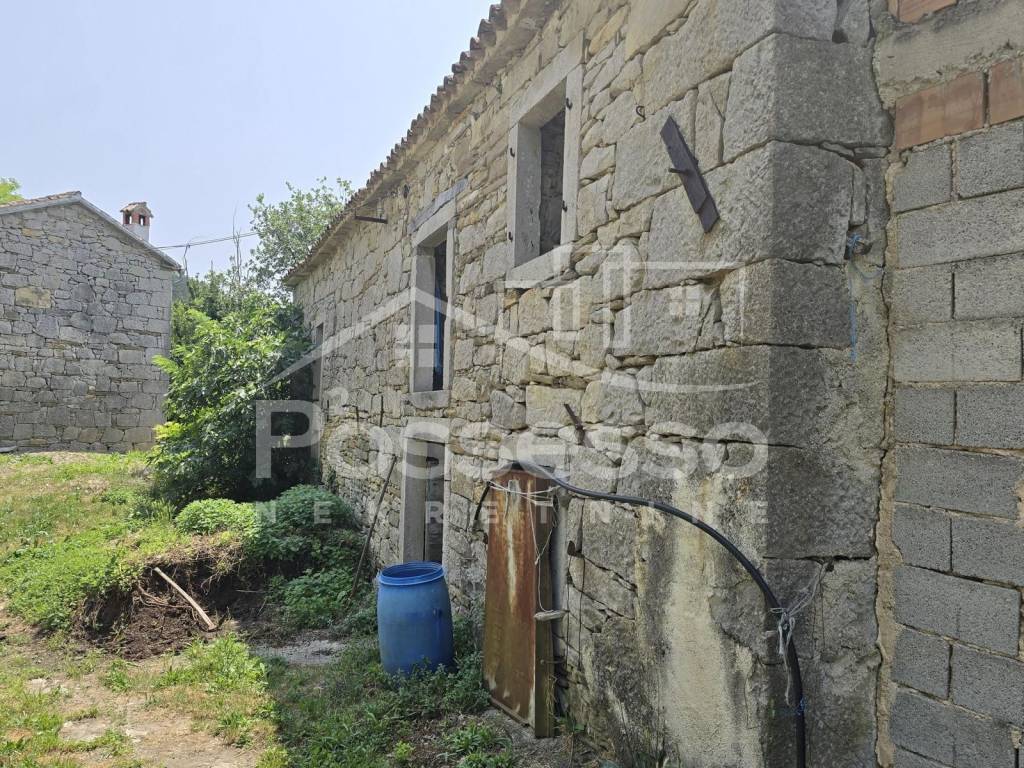 Buzet, Buzet