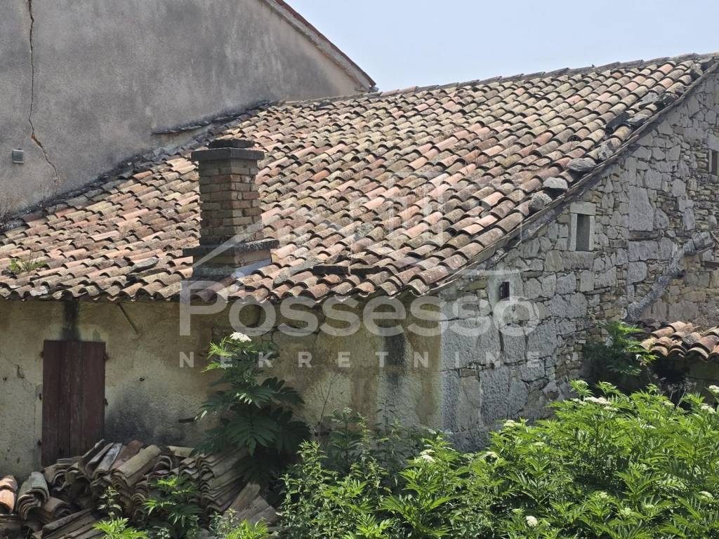 Buzet, Buzet