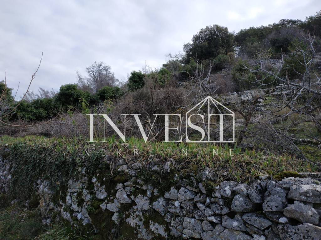 Dvojna kuća, Prodaja, Nerežišća, Nerežišća