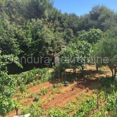 Apartmanska kuća, Prodaja, Vir, Vir