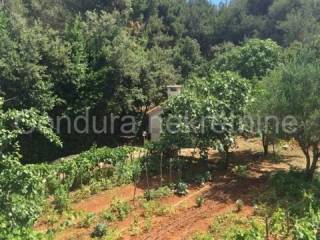 Apartmanska kuća, Prodaja, Vir, Vir
