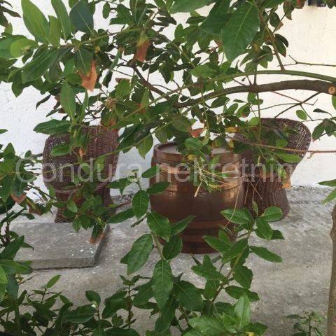 Apartmanska kuća, Prodaja, Vir, Vir