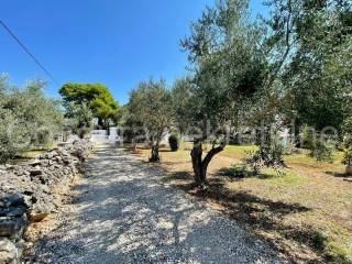 Samostojeća kuća, Prodaja, Vir, Vir