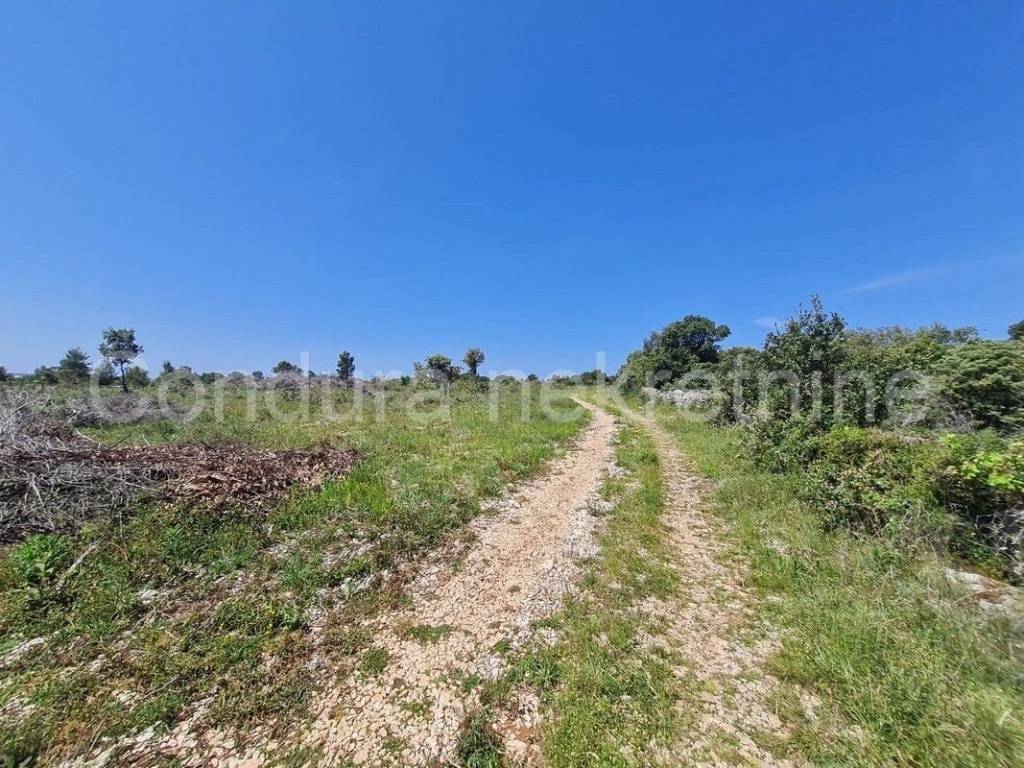 Građevinsko zemljište, Prodaja, Vrsi, Vrsi