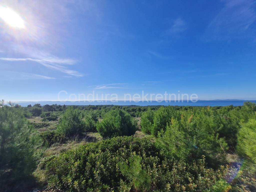 Poljoprivredno zemljište, Prodaja, Vir, Vir