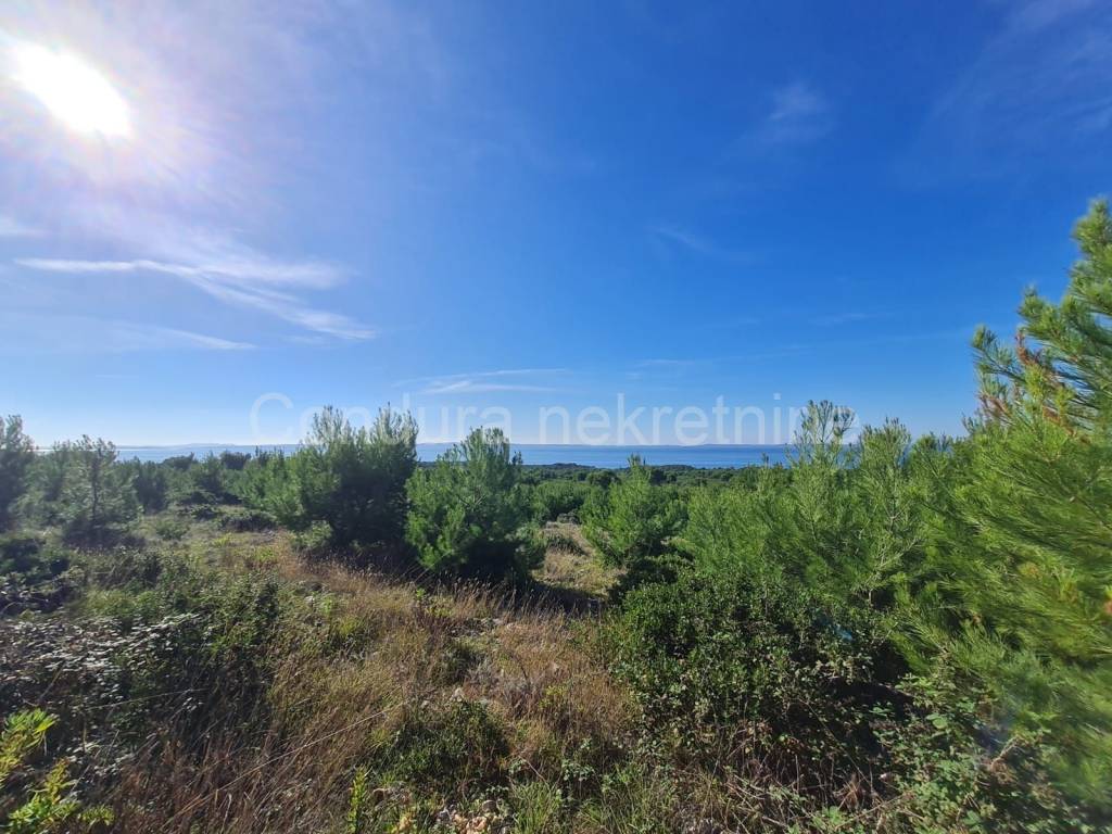 Poljoprivredno zemljište, Prodaja, Vir, Vir