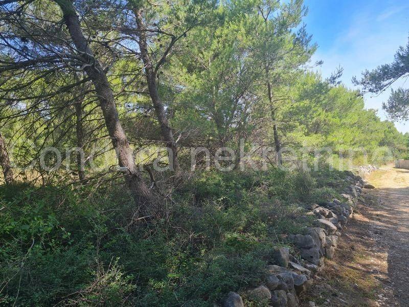 Poljoprivredno zemljište, Prodaja, Vir, Vir