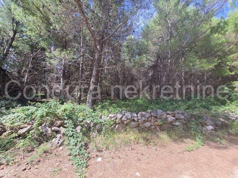 Poljoprivredno zemljište, Prodaja, Vir, Vir