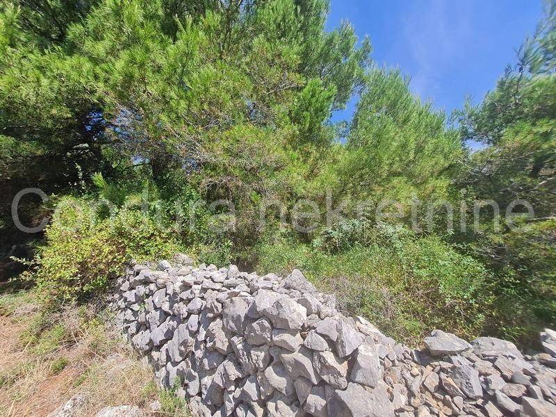 Poljoprivredno zemljište, Prodaja, Vir, Vir