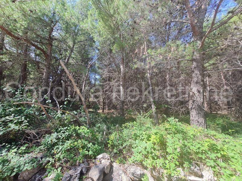 Poljoprivredno zemljište, Prodaja, Vir, Vir