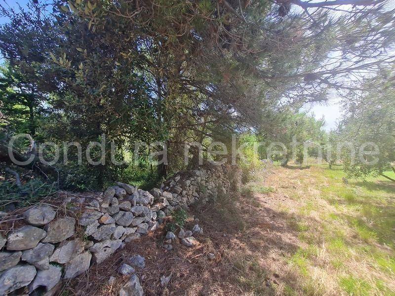 Poljoprivredno zemljište, Prodaja, Vir, Vir
