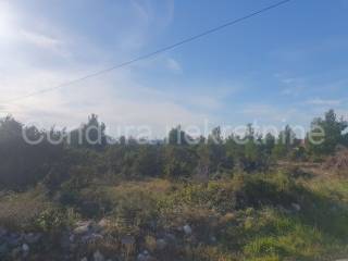 Građevinsko zemljište, Prodaja, Vrsi, Vrsi