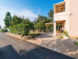 Apartman na moru, Prodaja, Nin, Zaton