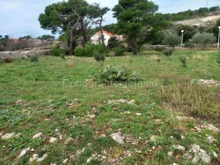 Građevinsko zemljište, Prodaja, Vir, Vir