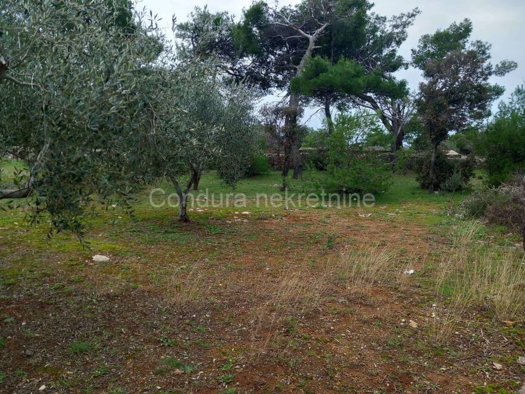 Građevinsko zemljište, Prodaja, Vir, Vir