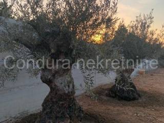 Građevinsko zemljište, Prodaja, Nin, Zaton