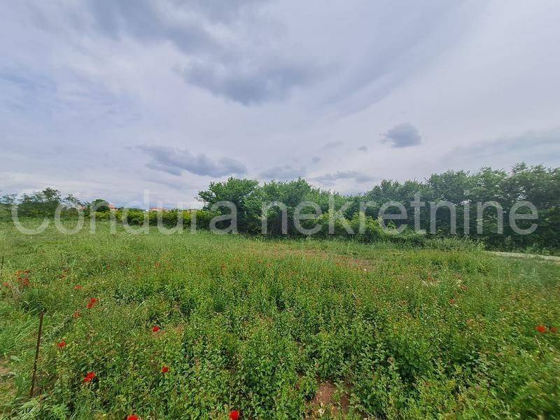 Građevinsko zemljište, Prodaja, Vrsi, Vrsi