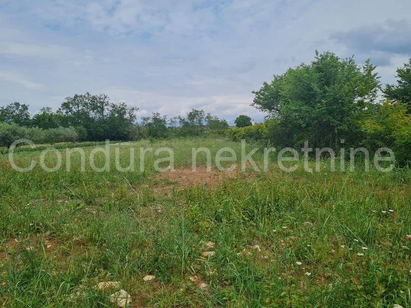 Građevinsko zemljište, Prodaja, Vrsi, Vrsi