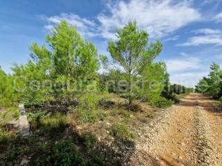 Građevinsko zemljište, Prodaja, Zadar, Zadar