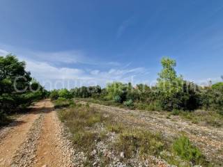 Građevinsko zemljište, Prodaja, Zadar, Zadar