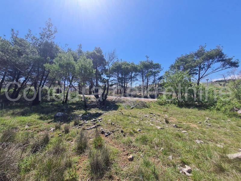 Građevinsko zemljište, Prodaja, Vir, Vir