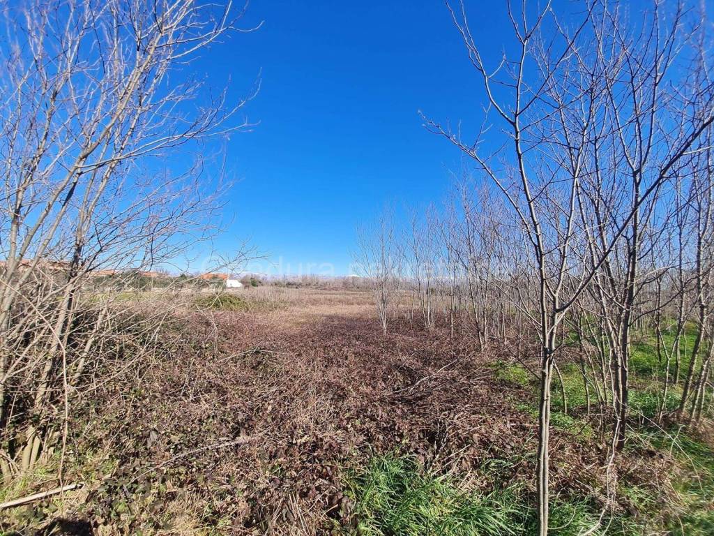Građevinsko zemljište, Prodaja, Privlaka, Privlaka