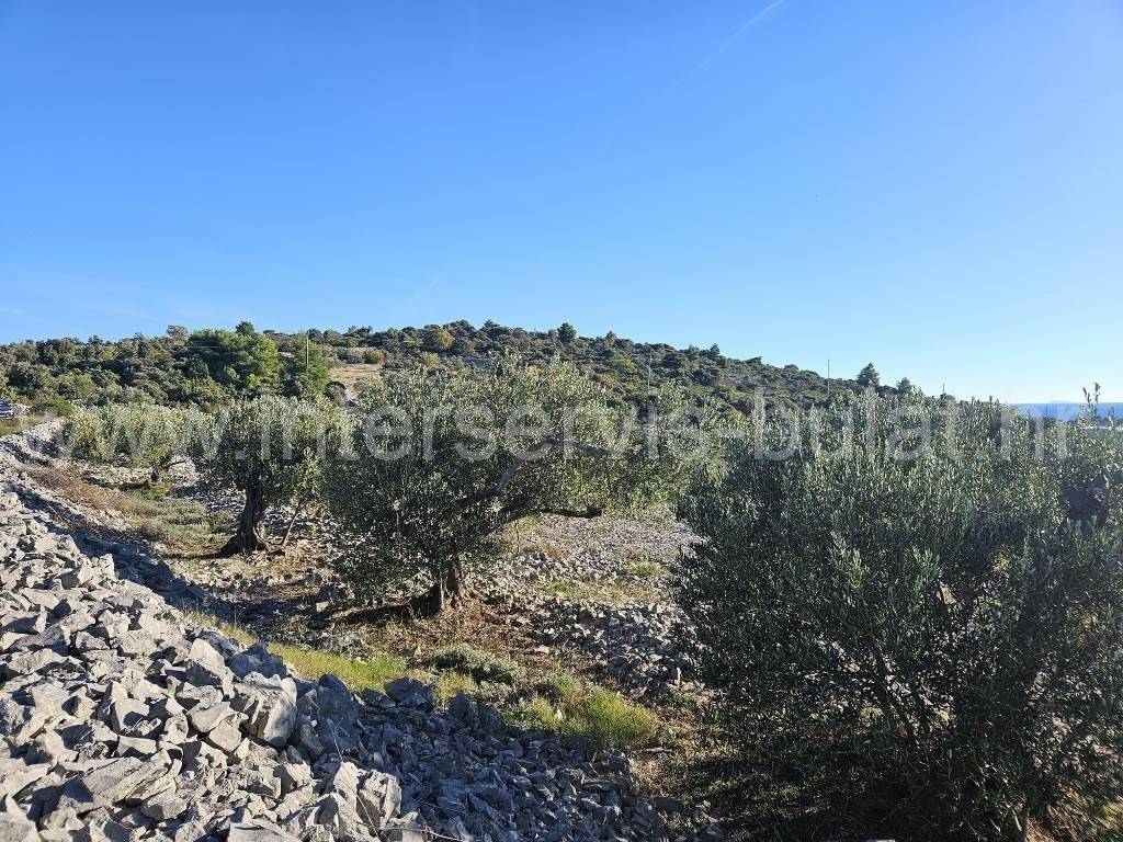 Poljoprivredno zemljište, Prodaja, Rogoznica, Kanica