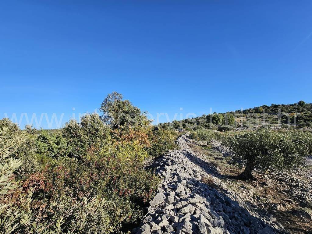 Poljoprivredno zemljište, Prodaja, Rogoznica, Kanica