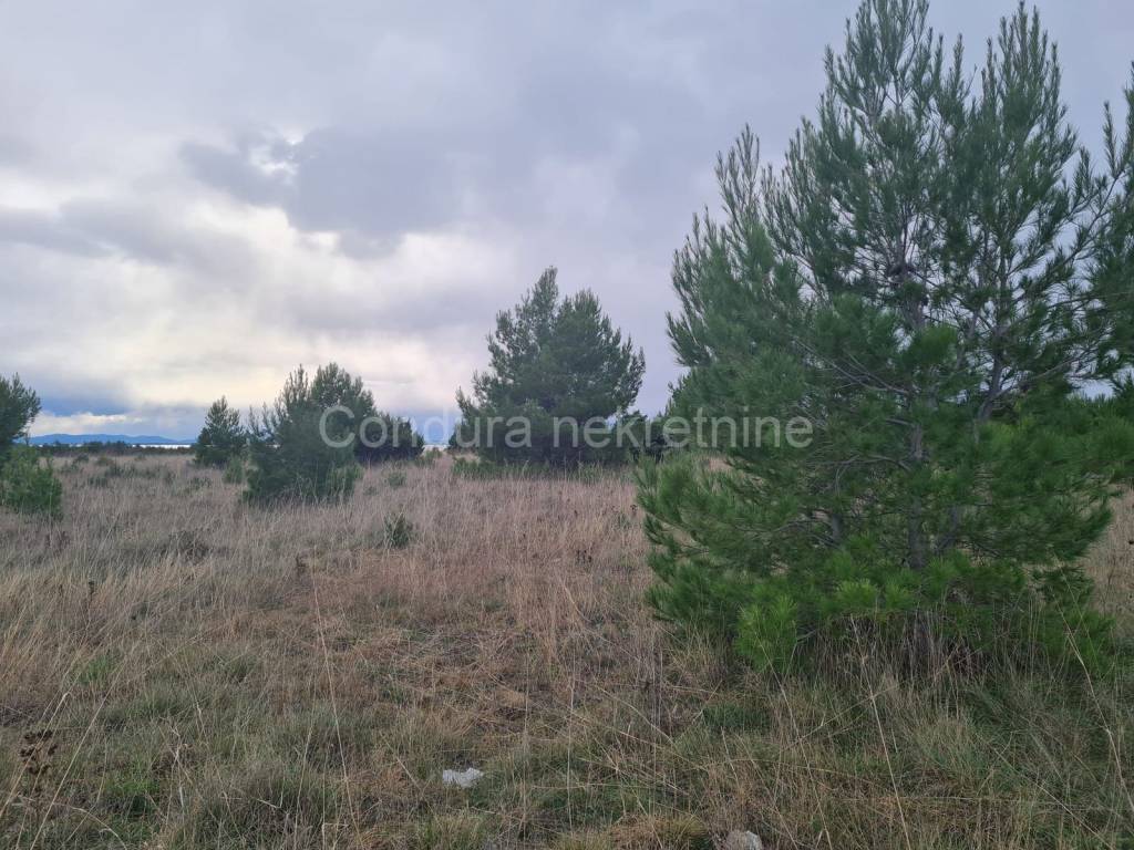 Građevinsko zemljište, Prodaja, Privlaka, Privlaka