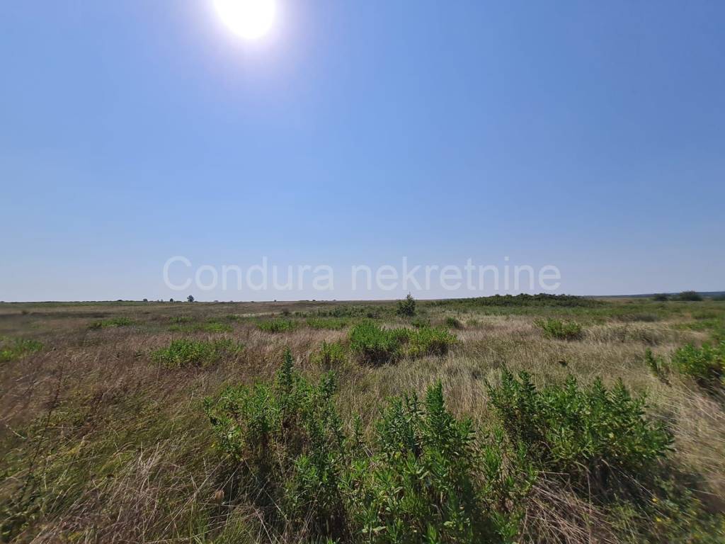 Poljoprivredno zemljište, Prodaja, Vrsi, Vrsi