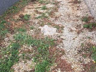 Građevinsko zemljište, Prodaja, Vir, Vir