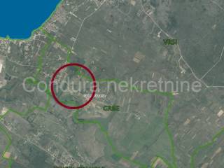 Poljoprivredno zemljište, Prodaja, Nin, Grbe