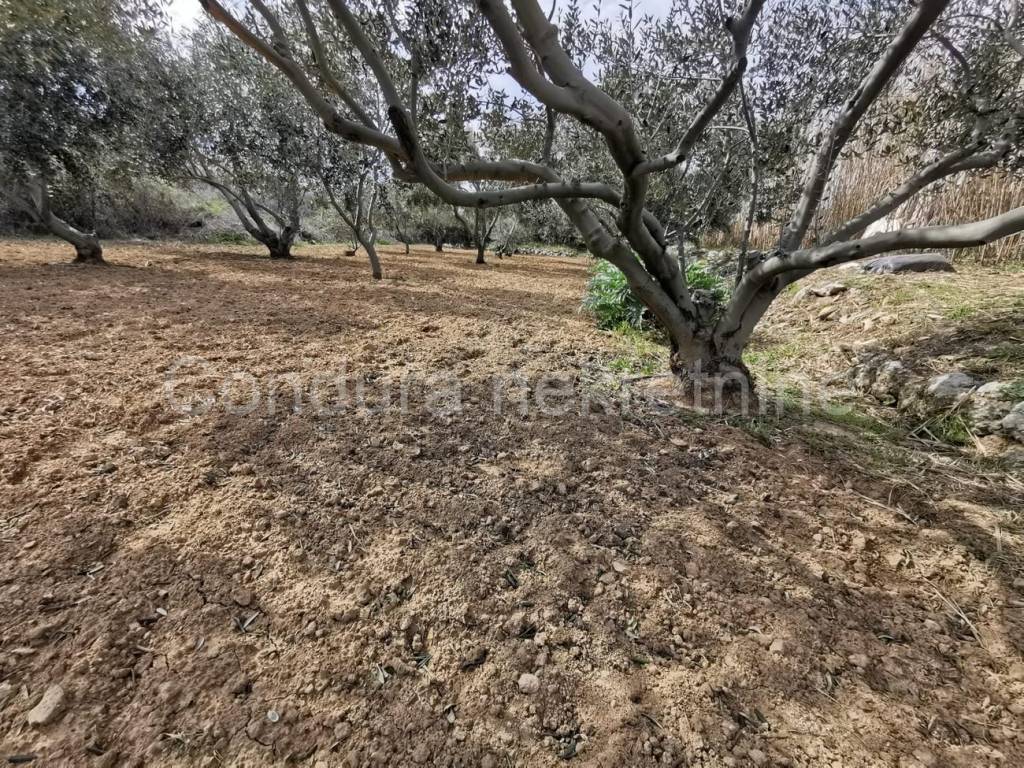 Poljoprivredno zemljište, Prodaja, Vir, Vir