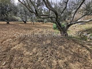 Poljoprivredno zemljište, Prodaja, Vir, Vir