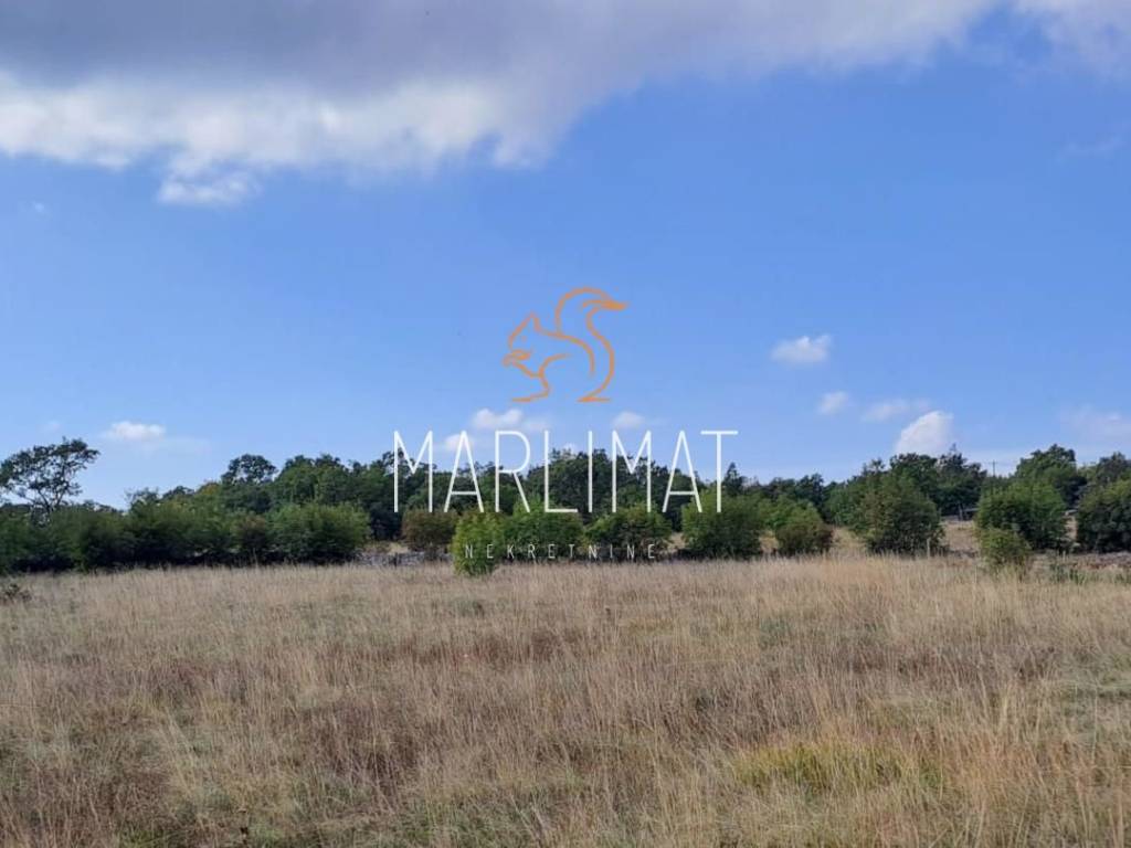 Gradjevinsko zemljiste, Prodaja, Lupoglav, Lupoglav