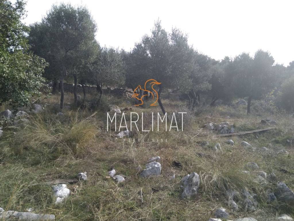 Poljoprivredno zemljiste, Prodaja, Novalja, Lun