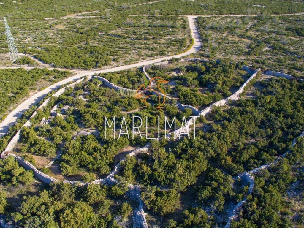 Poljoprivredno zemljiste, Prodaja, Novalja, Stara Novalja